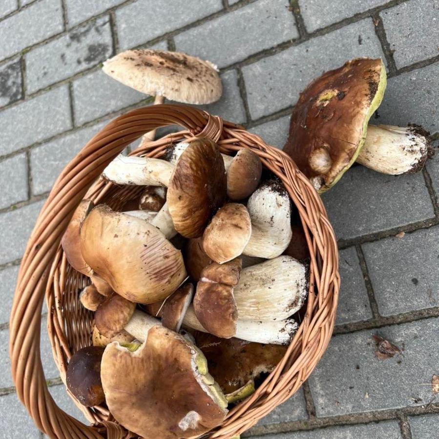 Domek Nad Jeziorem Myślibórz Exterior foto